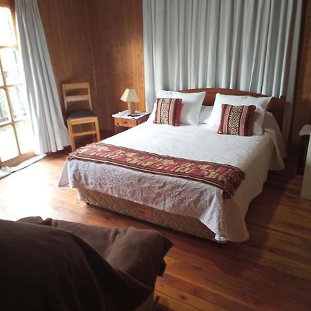 Omi Kika B&B Villarrica Zewnętrze zdjęcie