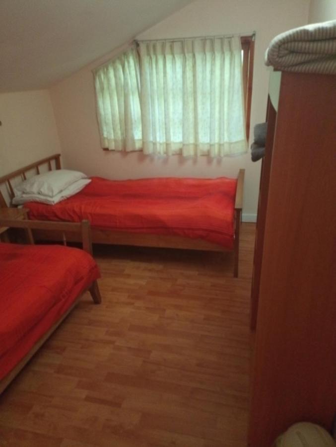 Omi Kika B&B Villarrica Zewnętrze zdjęcie