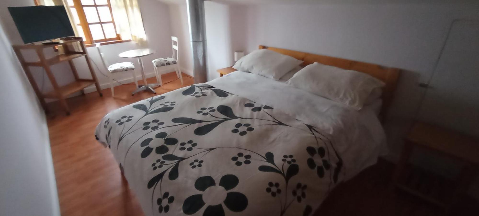 Omi Kika B&B Villarrica Zewnętrze zdjęcie