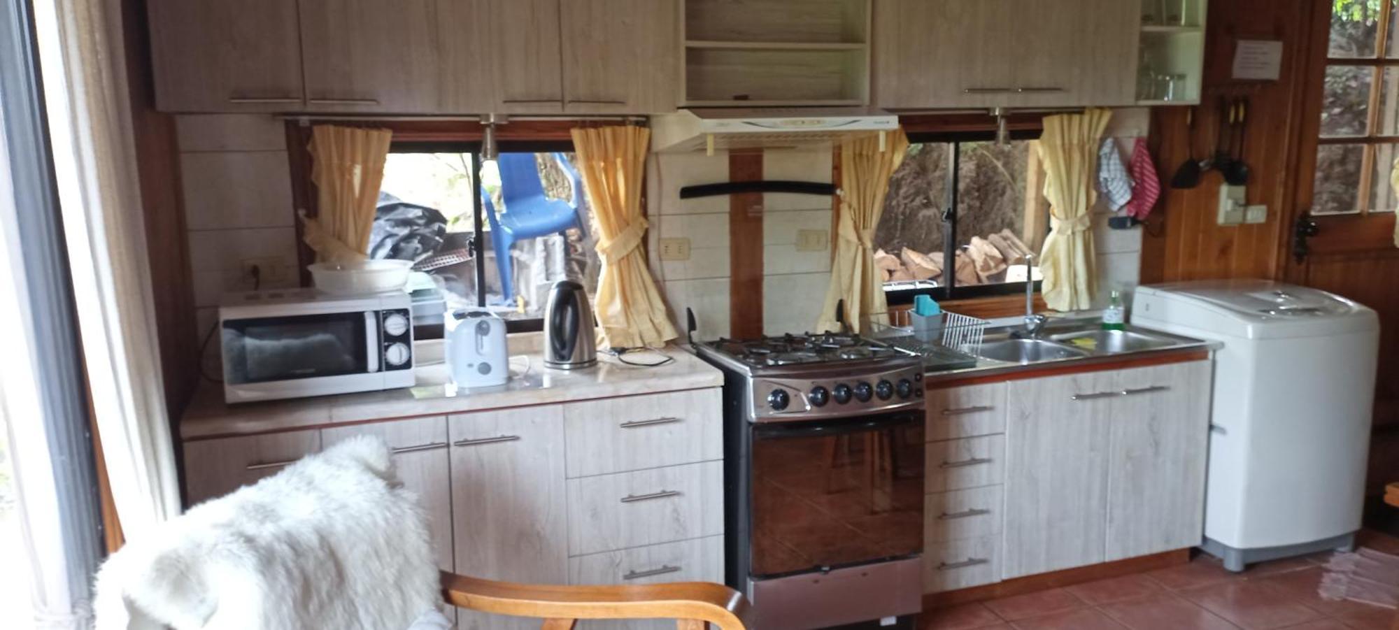 Omi Kika B&B Villarrica Zewnętrze zdjęcie