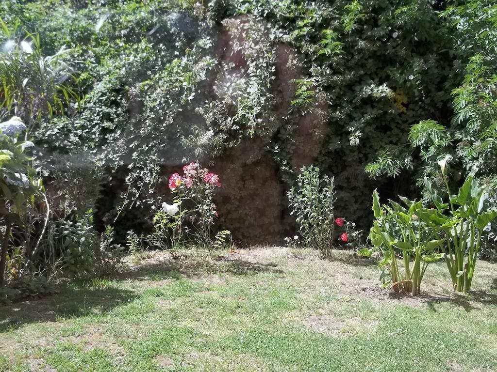 Omi Kika B&B Villarrica Pokój zdjęcie