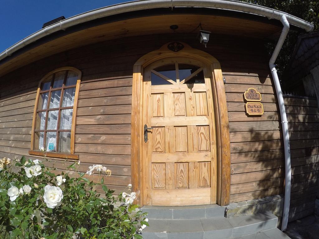Omi Kika B&B Villarrica Zewnętrze zdjęcie
