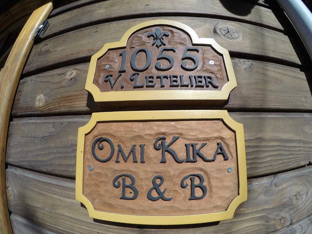 Omi Kika B&B Villarrica Zewnętrze zdjęcie