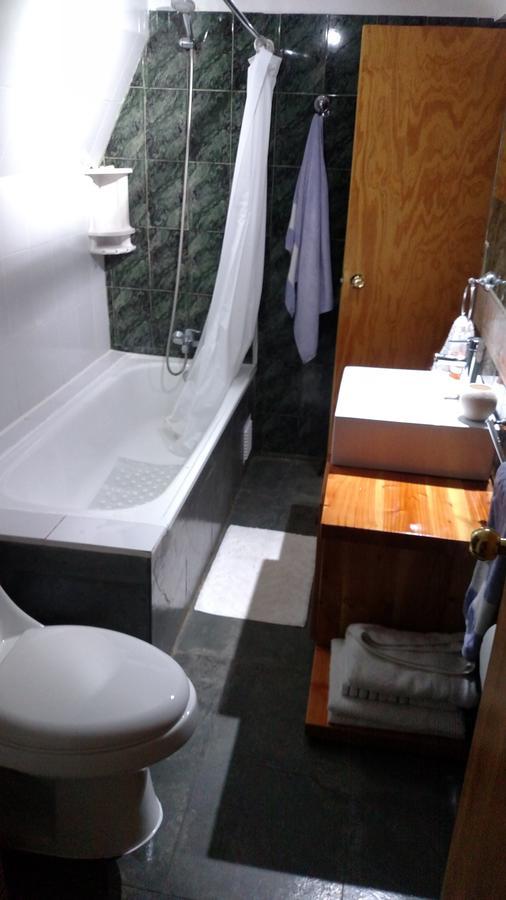 Omi Kika B&B Villarrica Zewnętrze zdjęcie