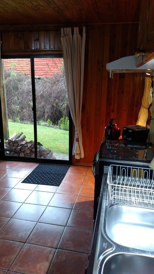 Omi Kika B&B Villarrica Zewnętrze zdjęcie