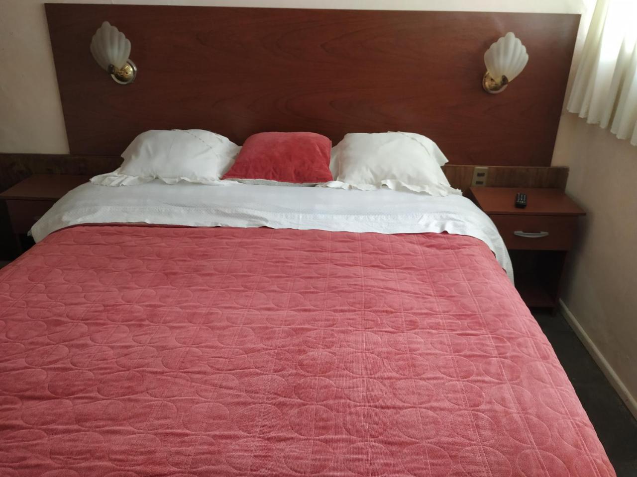 Omi Kika B&B Villarrica Zewnętrze zdjęcie