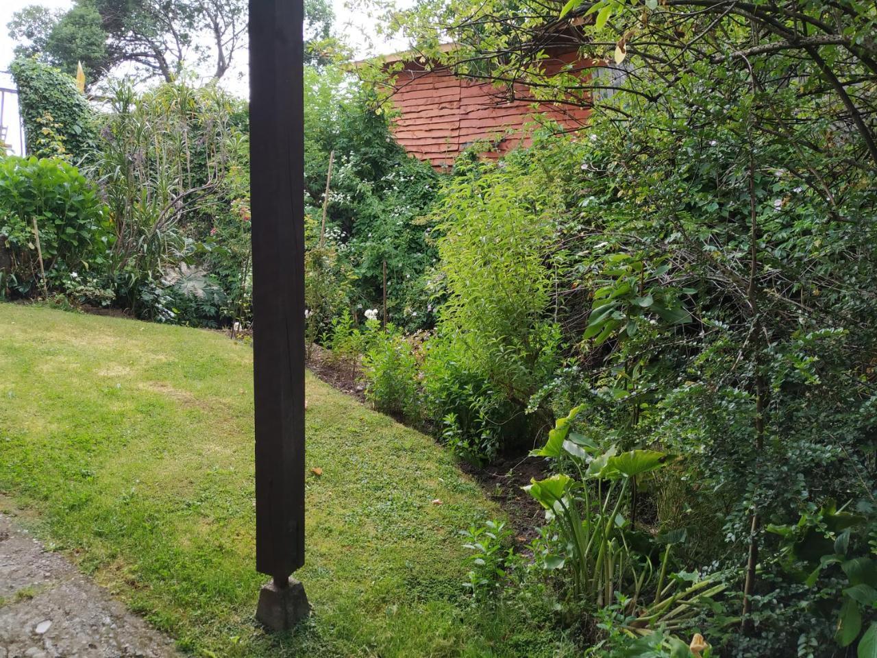 Omi Kika B&B Villarrica Zewnętrze zdjęcie