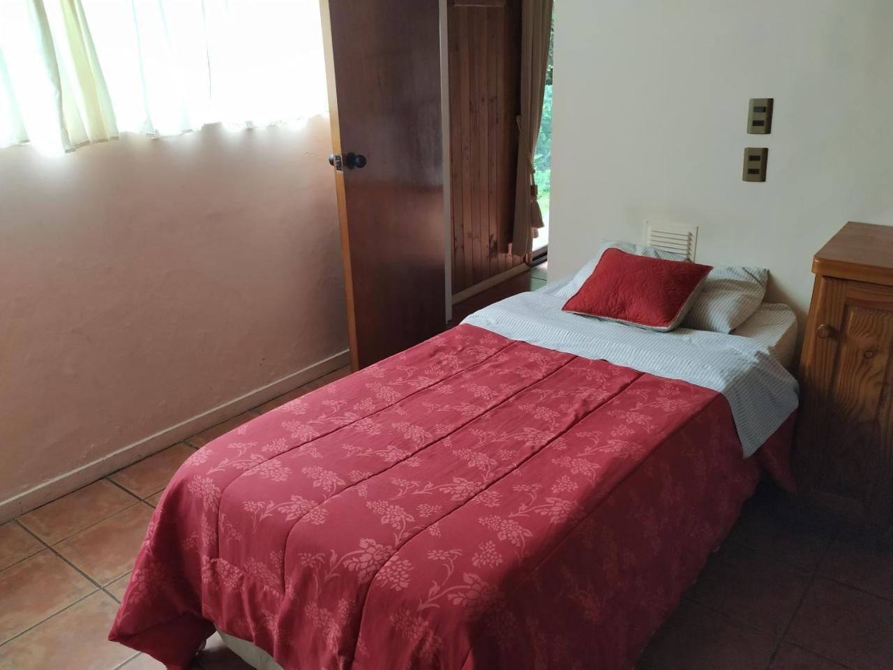 Omi Kika B&B Villarrica Zewnętrze zdjęcie