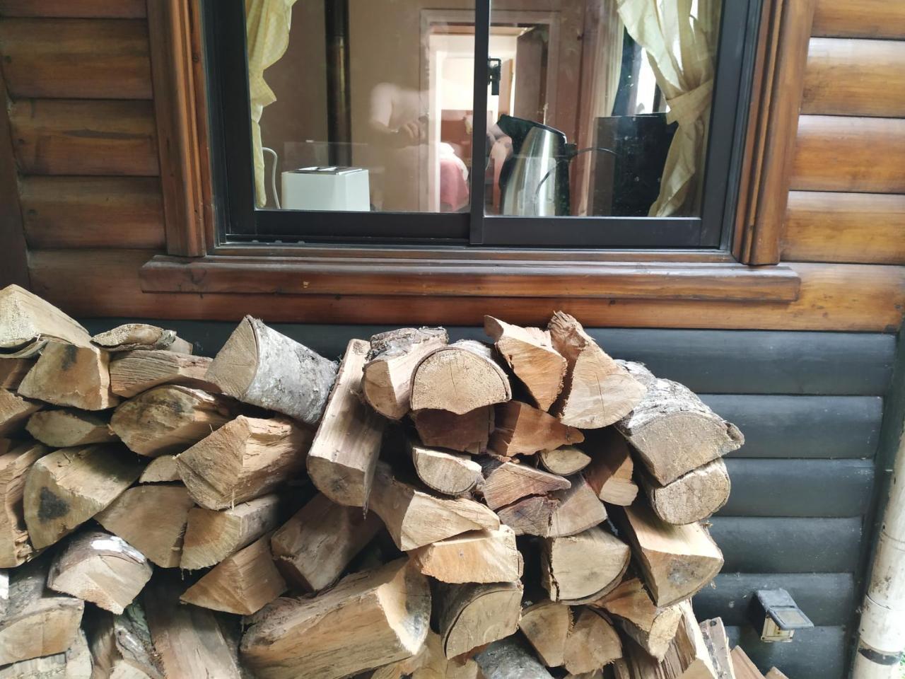 Omi Kika B&B Villarrica Zewnętrze zdjęcie